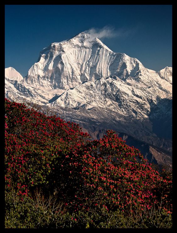 Dhaulagiri Ketinggian