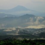 Pemandangan hutan lebat di Gunung Halimun, dengan kabut tebal yang menyelimuti pepohonan tropis, menciptakan suasana mistis