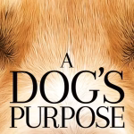 A Dogs Purpose